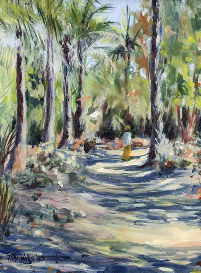 The Bush Road by Tilly Willis